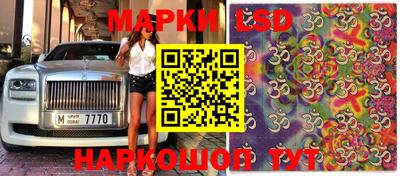 не бодяженный Сланцы