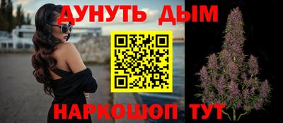 стаф Ставрополь