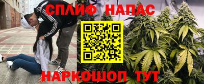 не бодяженный Сланцы